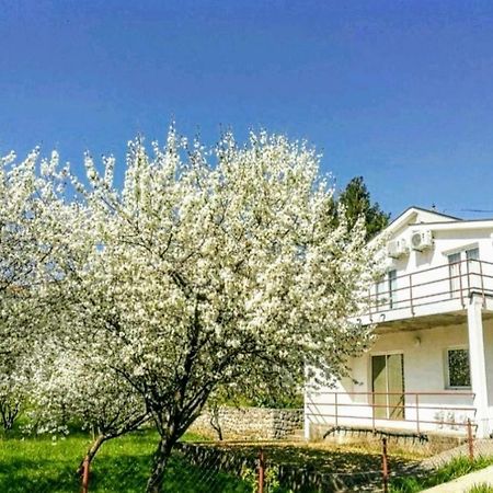 Apartments Pasha Blagaj Bagian luar foto